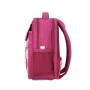 Рюкзак шкільний Bagland BL Відмінник 20 л. Малиновий 888 (00058070) (1123921618)