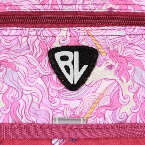 Рюкзак шкільний Bagland BL Відмінник 20 л. Малиновий 888 (00058070) (1123921618)