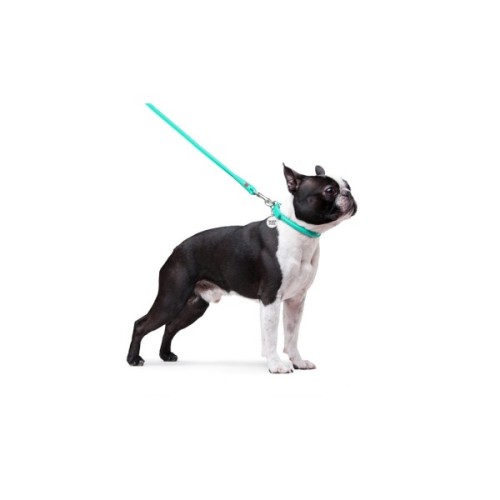 Повідець для собак WAUDOG Glamour круглий XS d 8 мм Д 122 см ментоловий (337713)