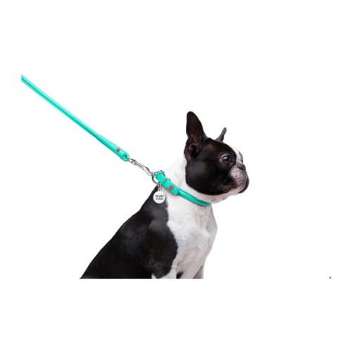 Повідець для собак WAUDOG Glamour круглий XS d 8 мм Д 122 см ментоловий (337713)