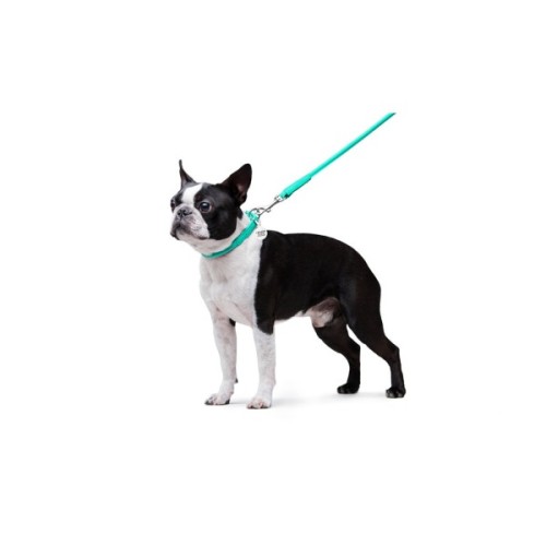 Повідець для собак WAUDOG Glamour круглий XS d 8 мм Д 122 см ментоловий (337713)