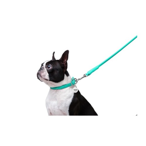 Повідець для собак WAUDOG Glamour круглий XS d 8 мм Д 122 см ментоловий (337713)