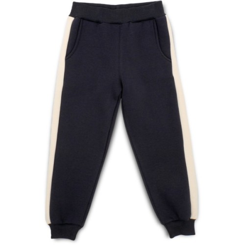 Спортивний костюм дитячий Smile флісовий (4228-122B-darkgray)