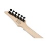 Електрогітара Ibanez RG450QMB-TGB (302353)