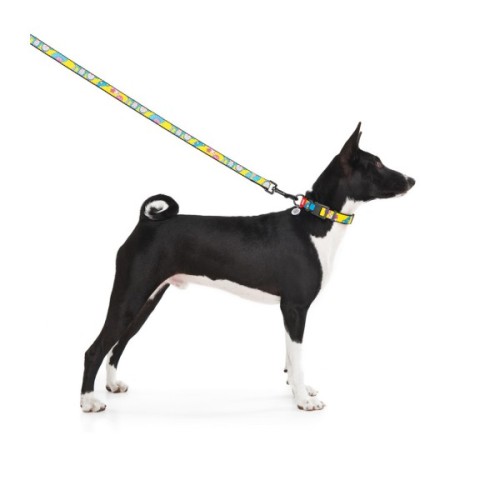 Нашийник для тварин WAUDOG Nylon з QR паспортом "Рік і Морті 1" пластиковий фастекс XXL (284-0280)