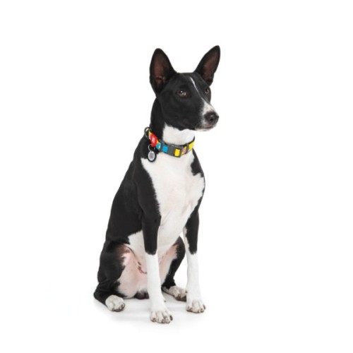 Нашийник для тварин WAUDOG Nylon з QR паспортом "Рік і Морті 1" пластиковий фастекс XXL (284-0280)