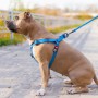 Шлея для собак WAUDOG Waterproof з QR-паспортом М Ш 20 мм Д 50-80 см блакитна (27652)
