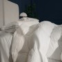 Ковдра MirSon Набір 9547 Luxury Exclusive Ковдра зимова Євро 200х220 Eucalyptus + Дві подушки 50х70 (2200010806076)