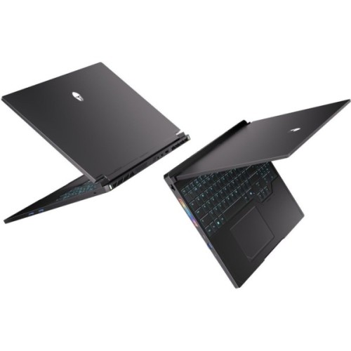 Ноутбук Thunderobot RS16 (RS16-i9139HX57TC1Q240ARB16)