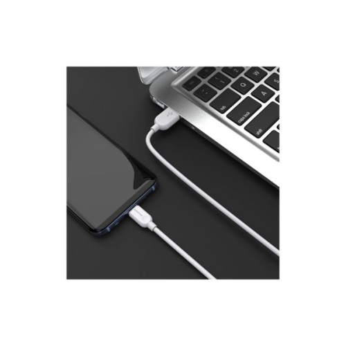Дата кабель USB 2.0 AM to USB-C 2.0m 2.4A white BOROFONE (6957531090021)