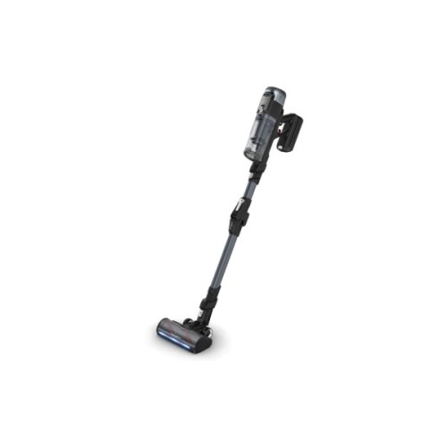 Пилосос Rowenta RH9C71E0