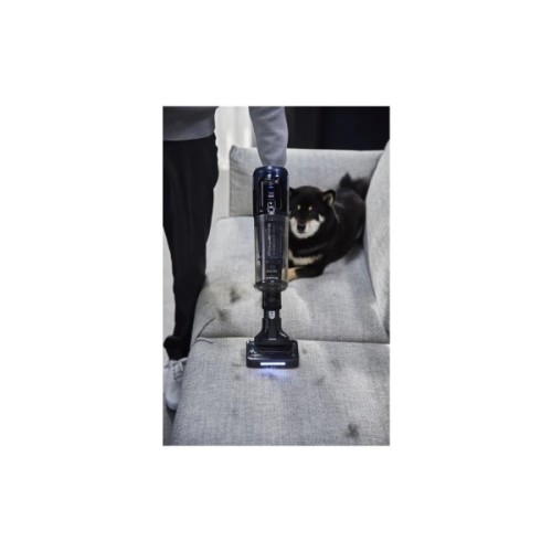 Пилосос Rowenta RH9C71E0