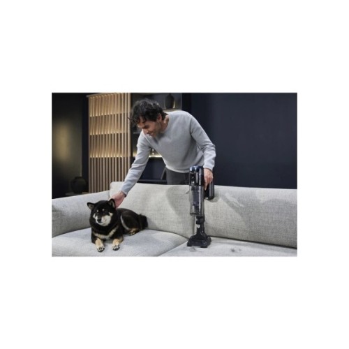 Пилосос Rowenta RH9C71E0