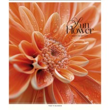 Зошит Школярик Sun Flower 48 аркушів клітинка (048-3456K)