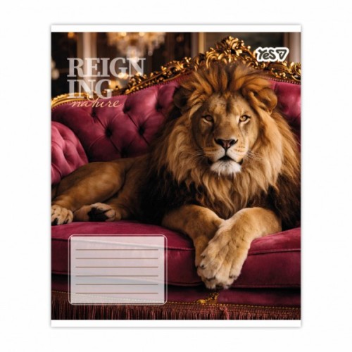 Зошит Yes Reign ing А5 48 аркушів клітинка (769096)