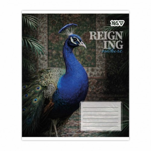 Зошит Yes Reign ing А5 48 аркушів клітинка (769096)