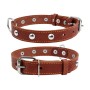 Нашийник для тварин Collar одинарний з прикрасами Ш 20 мм Д 32-40 см коричневий (01356)