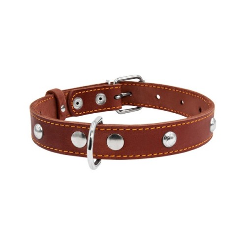 Нашийник для тварин Collar одинарний з прикрасами Ш 20 мм Д 32-40 см коричневий (01356)