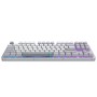 Клавіатура Dark Project ALU87 Daylight ABS RGB Mech G3MS Zircon White/Grey (DPKB_DAYLIGHT_87_ANSI_UA)