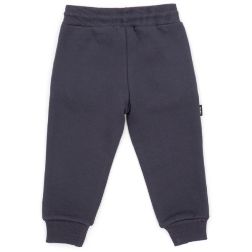 Спортивний костюм дитячий Toontoy однотонний (24296-110B-gray)