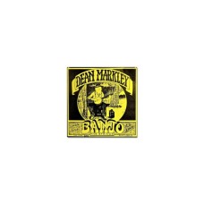 Струни для гітари Dean Markley Banjo LT 5-String (2302)