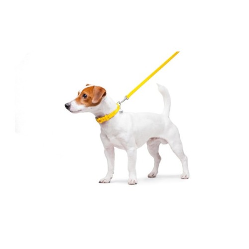 Повідець для собак WAUDOG Glamour шкіряний XS жовтий (33728)