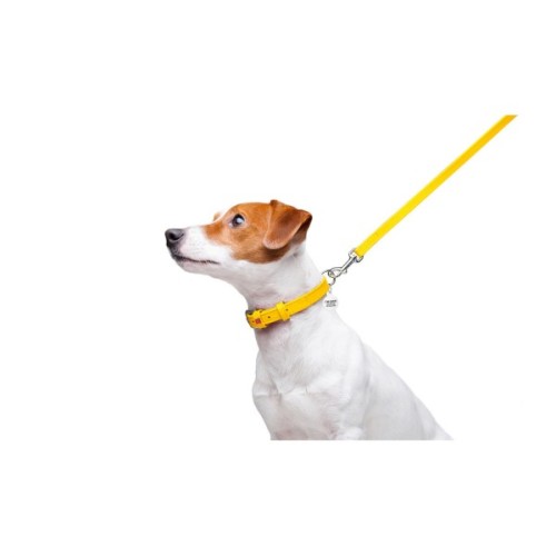 Повідець для собак WAUDOG Glamour шкіряний XS жовтий (33728)