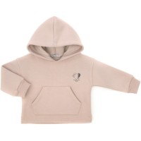 Кофта дитяча Toontoy худи флісова (24907-110G-beige)