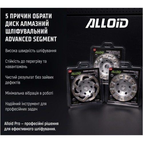 Круг зачистний Alloid Pro, алмазний, шліфувальний, Advanced Segment, 125мм (DG-3125AS)