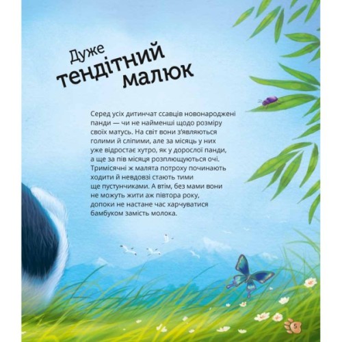 Книга Наймиліші малюки тварин - Алехандро Альґарра Vivat (9786171705302)