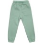 Штани дитячі Cloise флісові (CL0154024-128G-green)