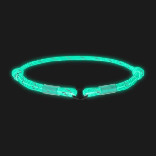 Шнурок для адресника WAUDOG Smart ID світловідбивний S 25-45 см блакитний (60402)