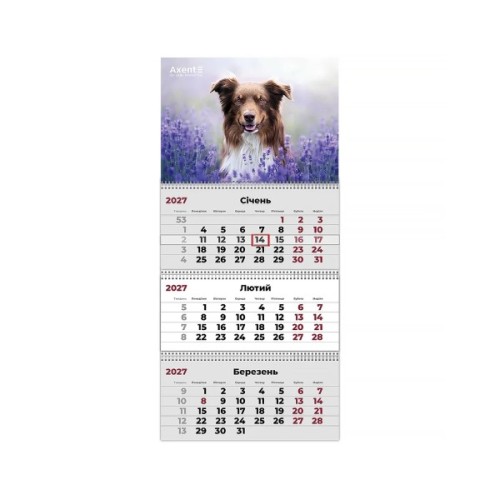 Календар Axent настінний квартальний 2027 р.,3 пр. Dogs 1 (8803-27-10-A)