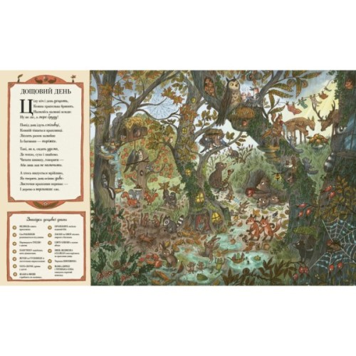 Книга Дива навколо. Якщо сьогодні завітаєш ти у ліс Ранок (9786170999924)