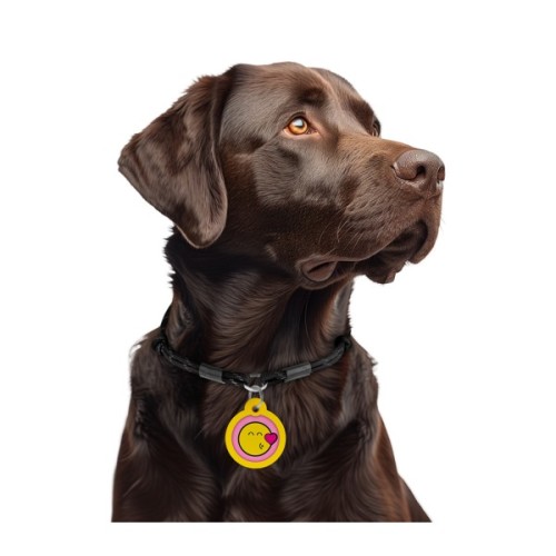 Адресник для тварин WAUDOG Smart ID з QR паспортом "Смайли на рожевому", коло 30 мм (230-0187)