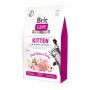 Сухий корм для кішок Brit Care Cat GF Kitten HGrowth and Development 2 кг (8595602540679)