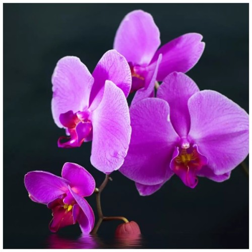 Обігрівач Trio Фіолетовий настрій (RL075580)