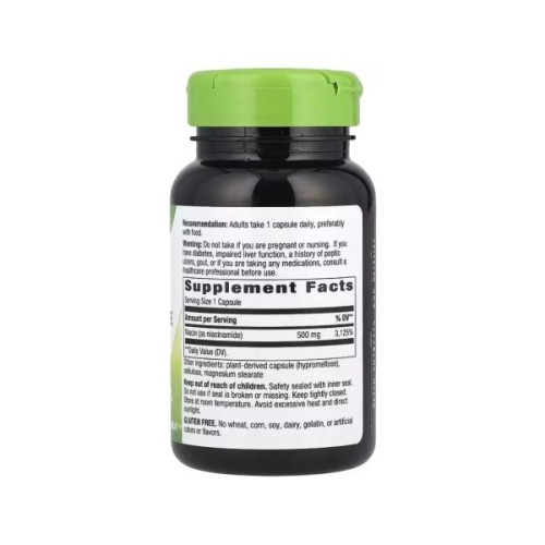 Вітамінно-мінеральний комплекс Nature's Way Ніацинамід, 500 мг, Niacinamide, 100 капсул (NWY-40480)