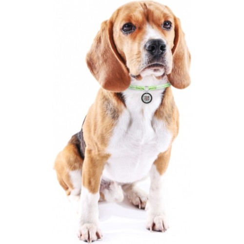 Шнурок для адресника WAUDOG Smart ID світловідбивний М 42-76 см салатовий (60415)