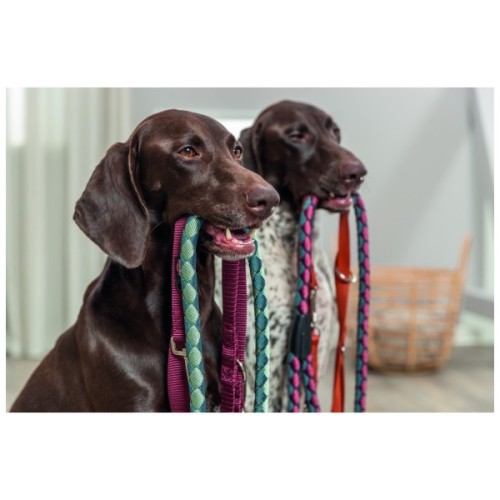 Повідець для собак Trixie Premium регульований двошаровий XS 2 м 10 мм бордовий (4053032673397)