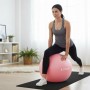 М'яч для фітнесу Fitpaddy 65 см рожевий (GBALL65PK)