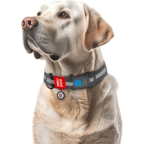 Нашийник для тварин WAUDOG Waterproof пластиковий фастекс XXL Ш 40 мм Д 46-70 см сірий (251011)