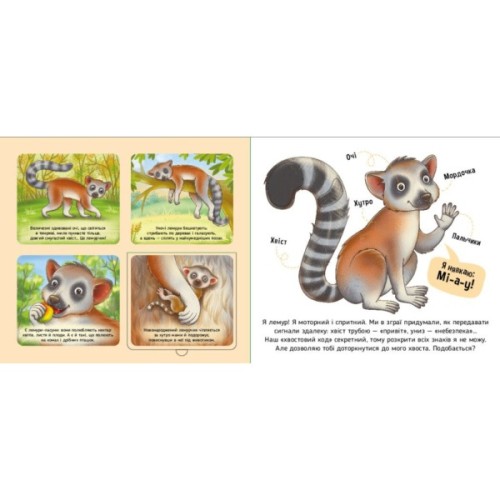 Книга Познайомся і погладь. Тварини світу - І.С. Потаніна Ранок (9789667617776)