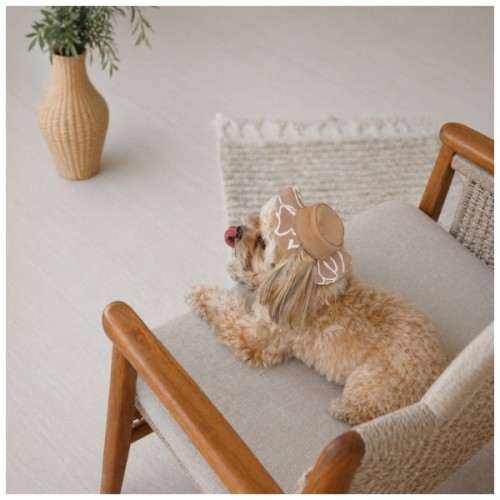 Кепка для тварин Pet Fashion Print М (4823082446094)
