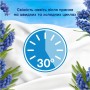 Кондиціонер для білизни Lenor Капрі 1.239 л (8700216724418)