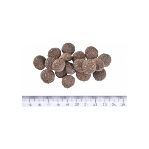 Сухий корм для собак Brit Care Dog Hypoallergenic Dog Show Champion з лососем і оселедцем 12 кг (8595602559107)