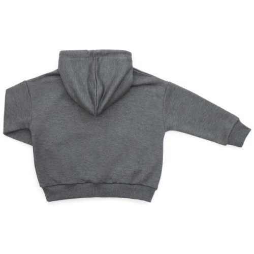 Кофта дитяча Cloise худі CLS (CL0115009-140B-gray)