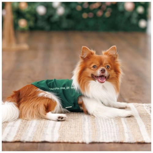 Борцівка для тварин Pet Fashion Kale S зелена (4823082441778)