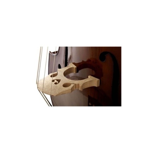 Контрабас Stentor Student Double Bass 3/4 (1951C)