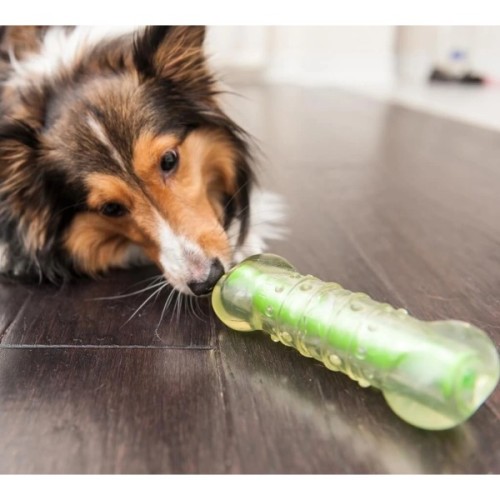 Іграшка для собак Petstages Crunchcore Хрумка кісточка 16 см (0871864002666)